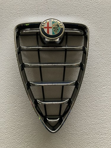 Griglia scudo anteriore alfa - anteriore,